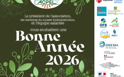 Meilleurs voeux 2026 !