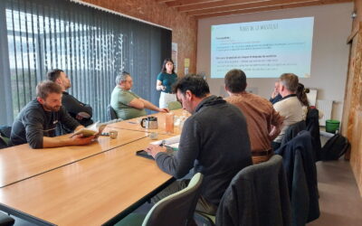 Bilan d&rsquo;essai variétal en haricots secs