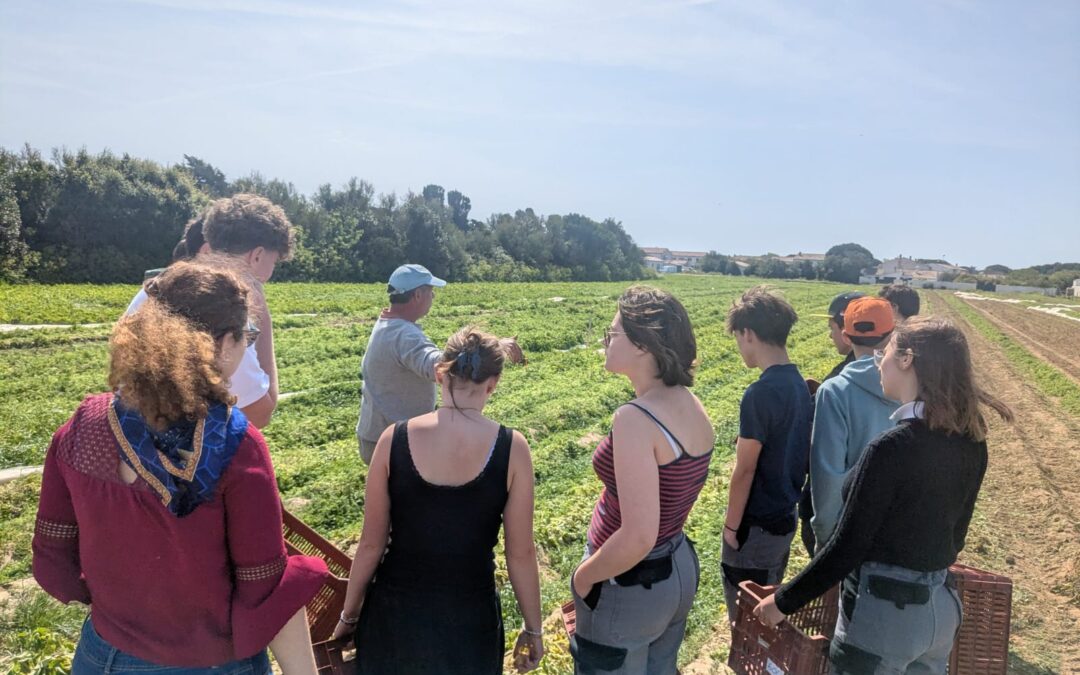 Visite des essais pommes de terre avec le Lycée du petit Chadignac