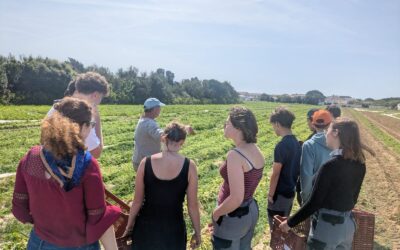Visite des essais pommes de terre avec le Lycée du petit Chadignac