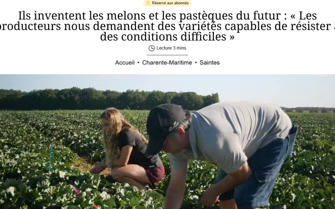 L&rsquo;ACPEL à la une du journal Sud Ouest